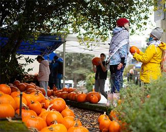 Pumpkin patch at VIU Fest