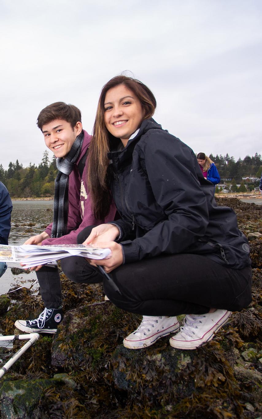Students doing fieldwork on the beach.